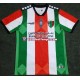 Camisola Principal Club Deportivo Palestino 2021 Manga Curta ,Homem