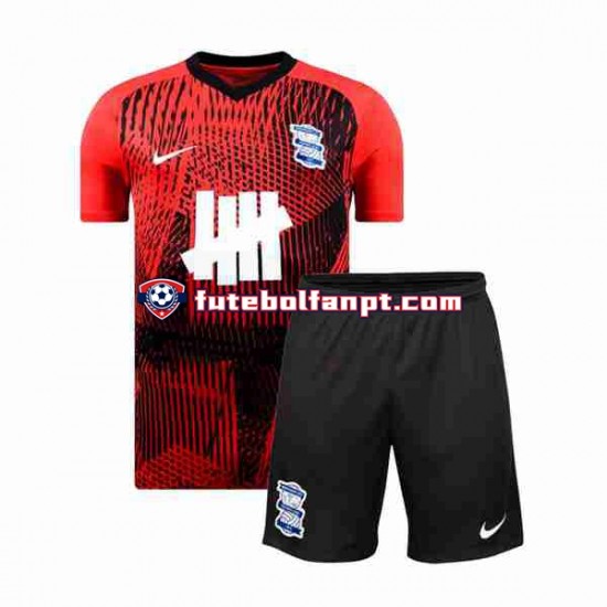 Camisola Alternativo Birmingham City Época 2023/2024 Manga Curta ,Criança